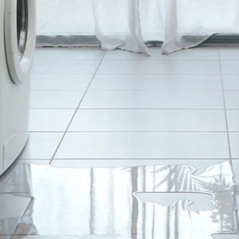 Appliance Leak Cleanup in Bullard, TX