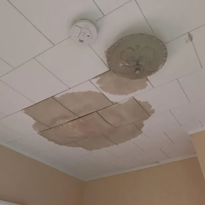 Ceiling Water Damage Repair in Bullard, TX