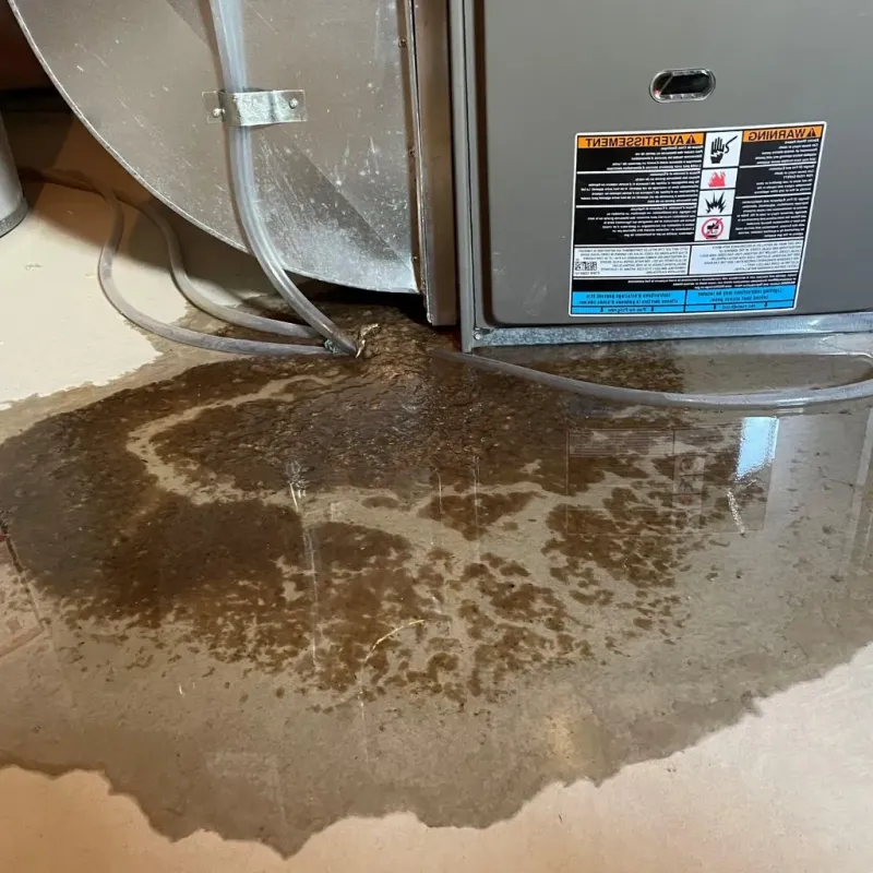 Pipe Burst and Leak Restoration in Bullard, TX