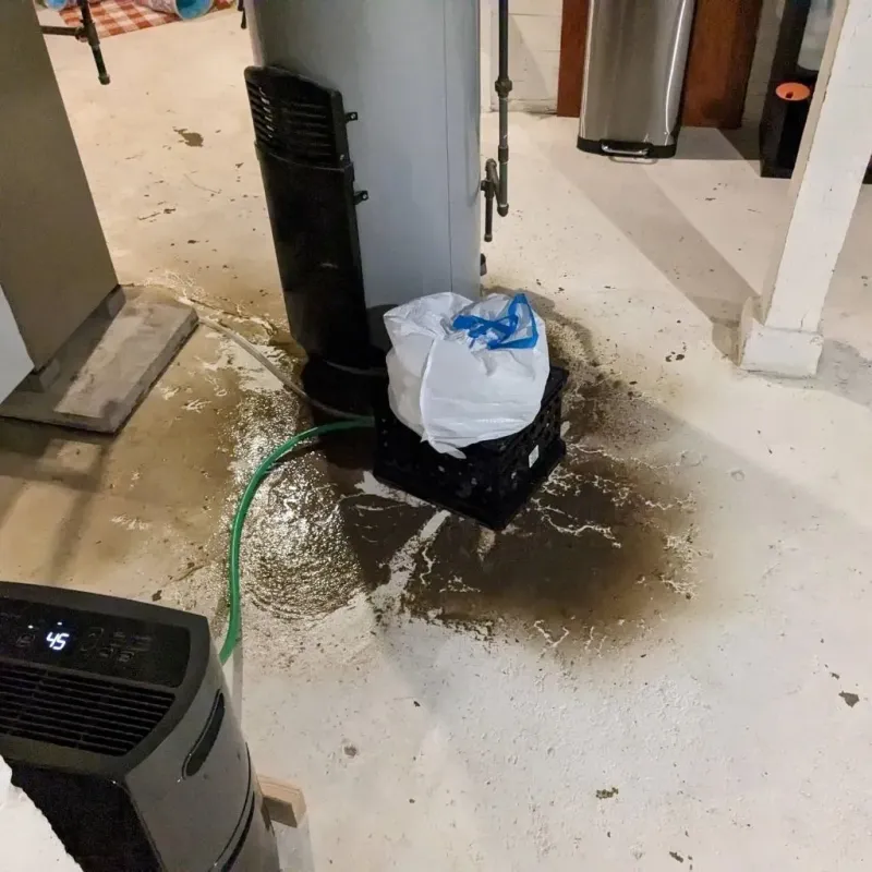 Sewage Backup Cleanup Service in Bullard, TX
